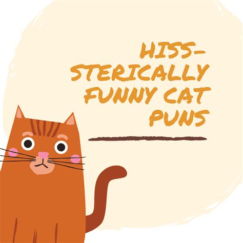 cat words for puns cat meme stock pictures and photos