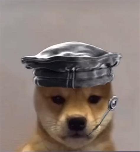 View 17 Dog With Hat Meme R6 Greatcentralpic