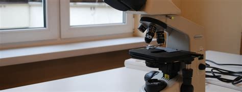 Id Bagian Bagian Mikroskop Dan Fungsinya Lengkap Ibs
