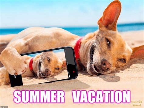 Summer Vacation Meme