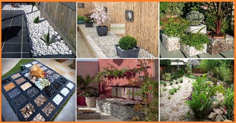 Lowest price guaranteed · digital edition included 10 Stunning Ideas With White Pebbles For Your Landscape Areas - Genmice