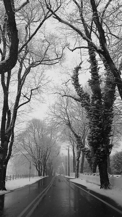 Snow Mono Darkness Monochrome Nature Road Trees Hd Phone