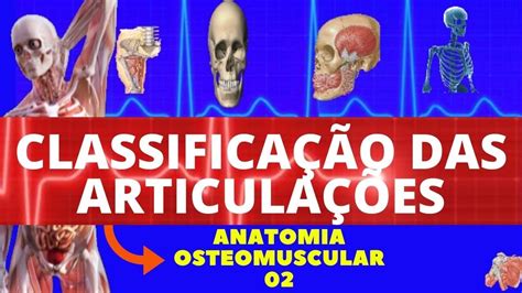 Classifica O Das Articula Es Anatomia Humana Tipos De