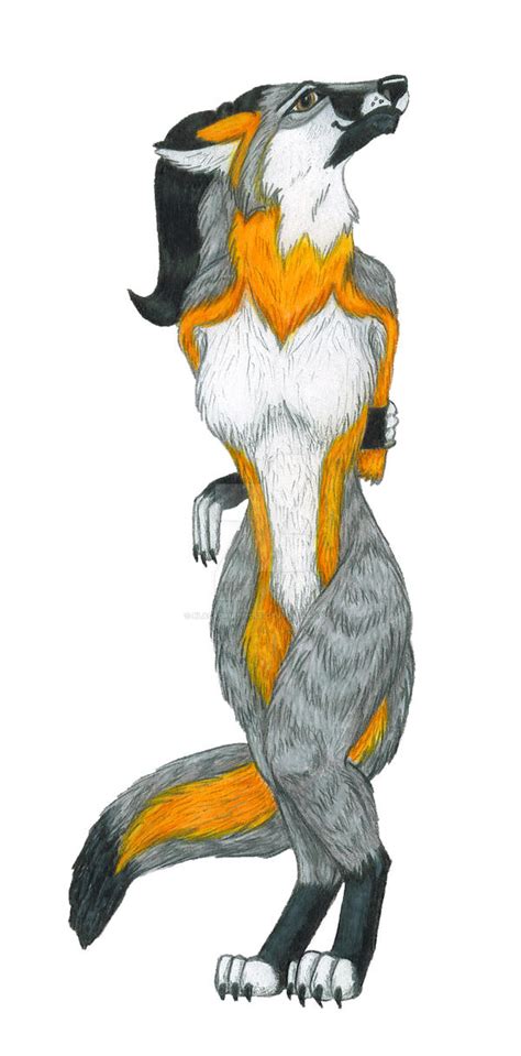 Grey Fox Anthro By Blackdruidwolf On Deviantart