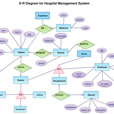 Er Diagram Tutorial Complete Guide To Entity Relationship