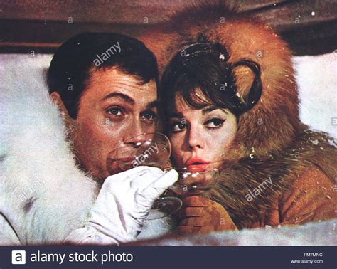 tony curtis and natalie wood the great race 1965 warner file reference 31202 429tha stock