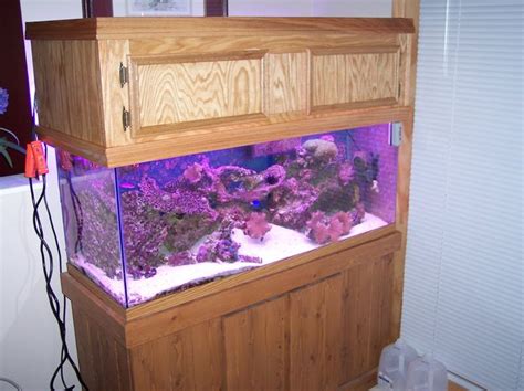 A tank of this size will weigh a lot more than smaller. How To Build A 75 Gallon Aquarium Canopy - WoodWorking ...