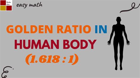 Golden Ratio In The Human Body Jayasreemaths Youtube