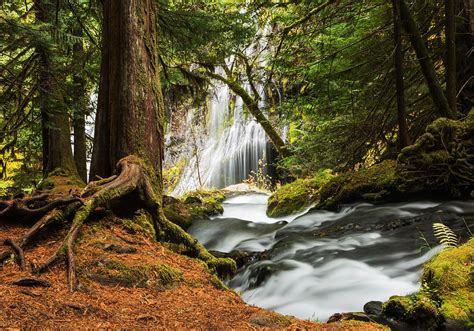 Paradise At Panther Creek Photograph By Angie Vogel Fine Art America