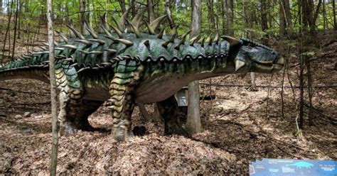 Dino Roar Valley And Magic Forest An Intimate Experience At Lake George