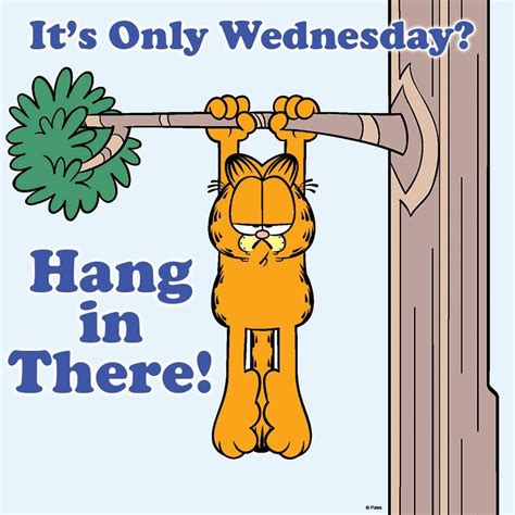 Pin By Tiffany Rose Princess On Garfield Happy Wednesday Quotes