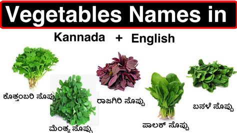 ಸೊಪ್ಪುಗಳ ಹೆಸರುಗಳು ಕನ್ನಡದಲ್ಲಿ Green Leafy Vegetables Names In Kannada