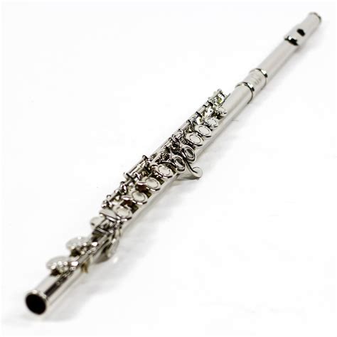 Flauta Transversal Dó Niquelada Com Estojo Custom Strauss R 65000