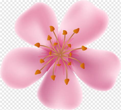 Me Gusta Spring Blooming Flower Clip Art Image Png