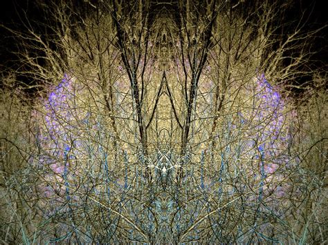 Glowing Branchesreflection Photograph By Maureen Rose Fine Art America