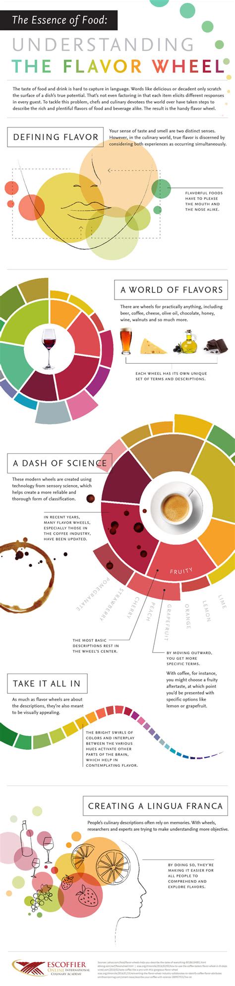 The Essence Of Food Understanding The Flavor Wheel Infographic