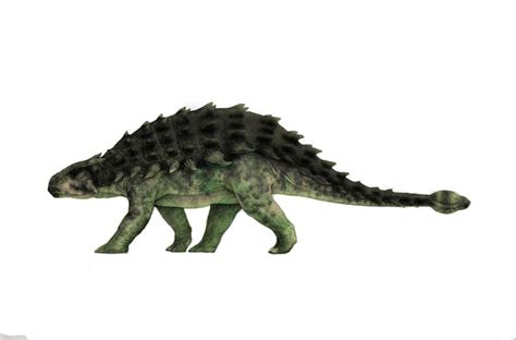 Jurassic Park Ankylosaurus By Jurassicrex On Deviantart