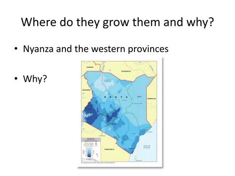 Ppt Factors Effecting The Location Of Industry In Kenya Powerpoint