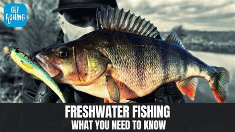 Freshwater Fishing What You Need To Know To Start Fishing Youtube
