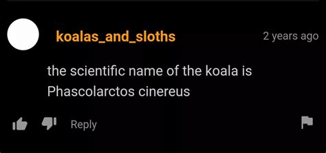 Thanks For This Very Useful Information Nudes Pornhubcomments Nude