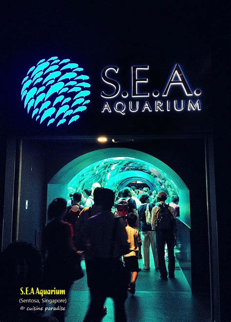 Cuisine Paradise Singapore Food Blog Recipes Reviews And Travel Sea Aquarium And Trick