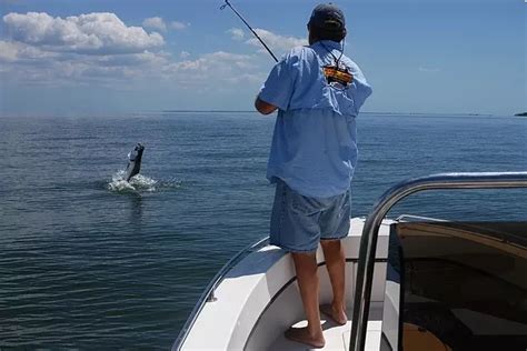 Fishing In Charlotte Harbor And The Florida Gulf Islands