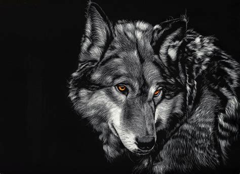 Wallpapers Wolf 4k Wolf Wallpaperspro