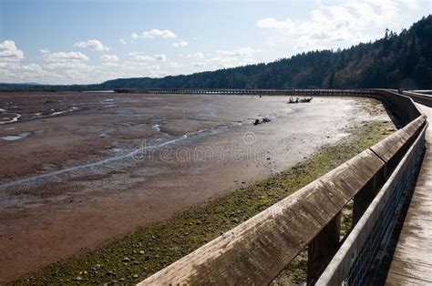 Bend Of A Boardwalk In The Billy Frank Jr Nisqually National Wildlife