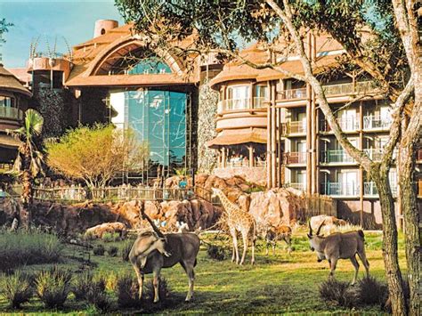 Hotel Disneys Animal Kingdom Lodge Orlando Area Fl Estados Unidos