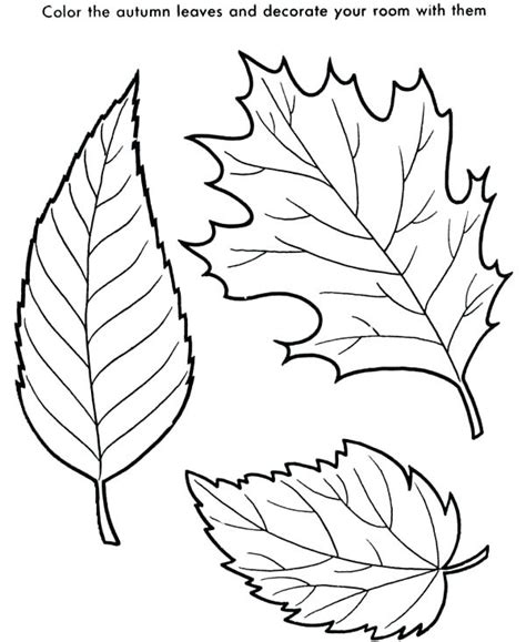 Download Jungle Leaf Drawing at GetDrawings | Free download