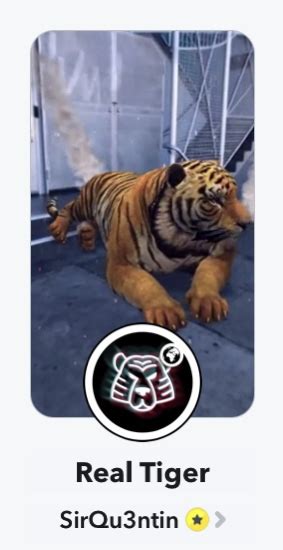 How To Get The Real Tiger Filter On Snapchat Jypsyvloggin