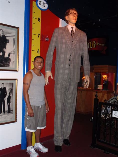 What Is The Height Of The Tallest Man Ever Swhoi