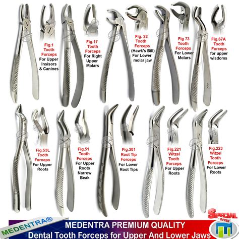 Dental Tooth Forceps Surgical Extraction Forceps For Upper Lower Molars 10 Pcs