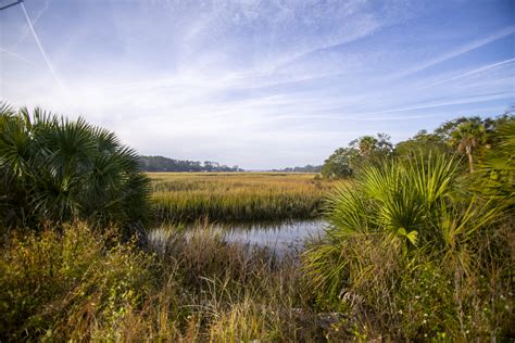 How Georgia Protected Its Salt Marsh 50 Years Ago And Why Thats