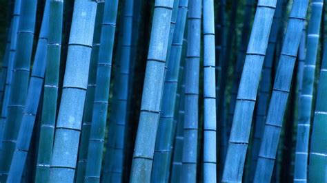 Bamboo Desktop Wallpapers Wallpaper Cave