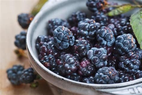 Learn important nutrition facts about blackberry and the health benefits that this particular fruit provides. Calories, Carbs, and Health Benefits of Blackberries ...