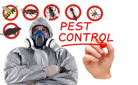 Pest Control Merits Of Eradicating Pests