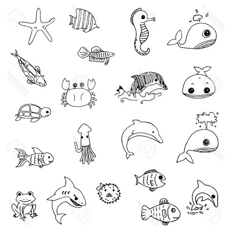 Water Animals Drawing Images Water Animals Drawing Bodenewasurk