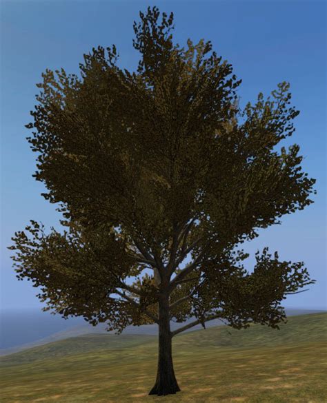 Oak Tree Dayz Wiki