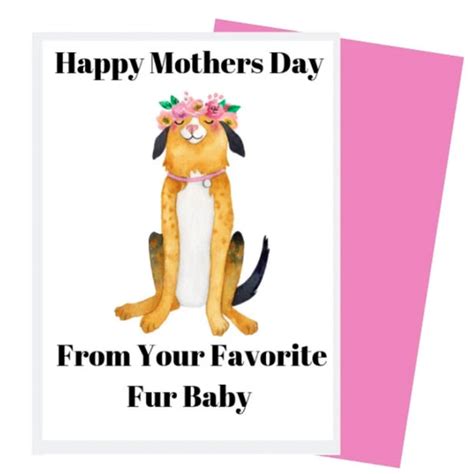 Top 15 Happy Mothers Day Fur Mom Ts For Pup Loving Women 122023