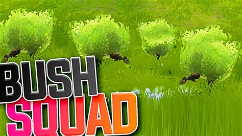 Bush Squad Fortnite Battle Royale Youtube