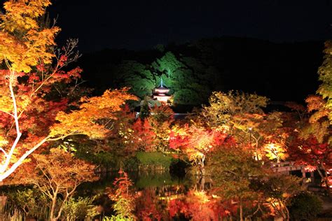 Eikando Zenrinji Temple Best Autumn Leaves Illumination In Kyoto