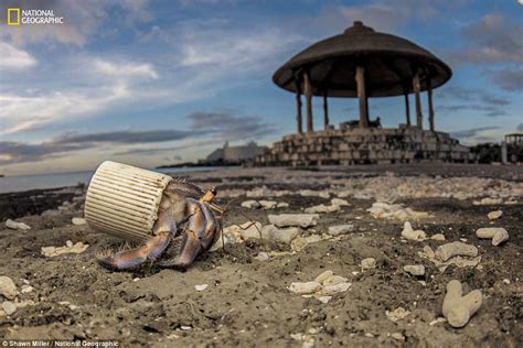 Heartbreaking Images About The Plastic Crisis And Its Devastating