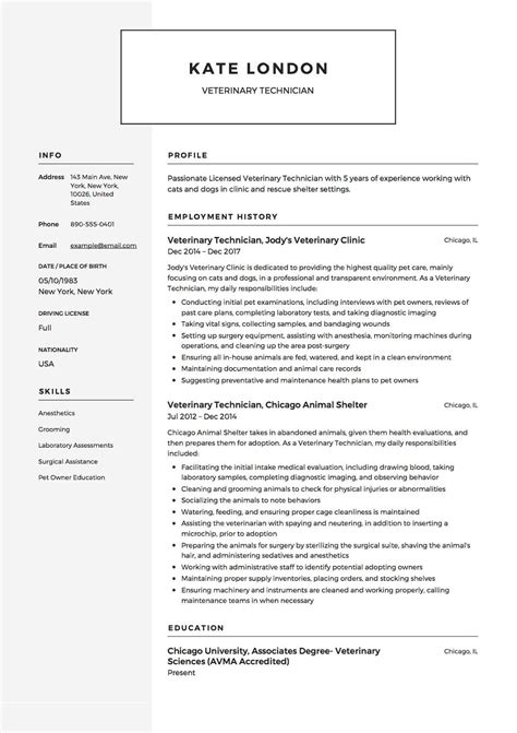47 2020 Technical Resume Examples That You Can Imitate