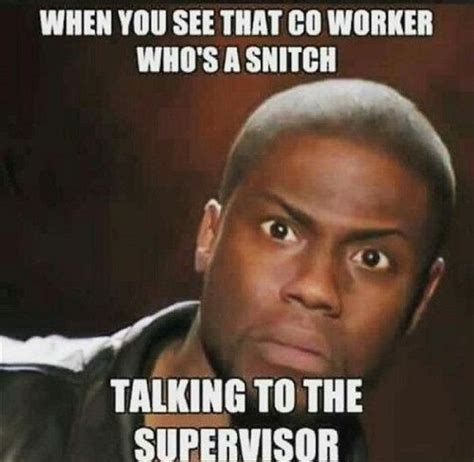 that snitch co worker random funny memes v6 funny nurse quotes work humor nurse quotes