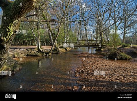 Bridge Over Stream In The New Forest Hampshire England Stock Photo