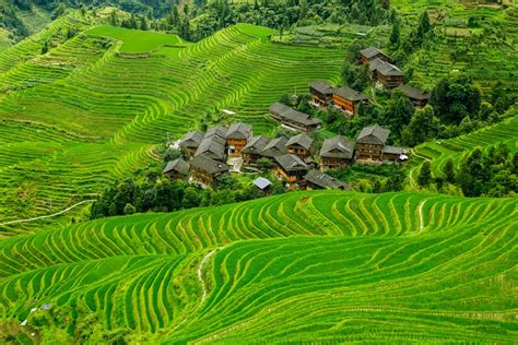 Rice Terrace Full Hd Wallpaper And Background Image 2048x1365 Id592006