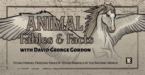 Animals Fables And Facts Oh My Ncw Libraries