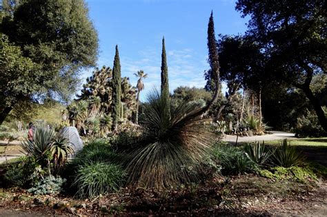 Stanfords Arizona Garden And Mausoleum Spring Cacophony Amongst The