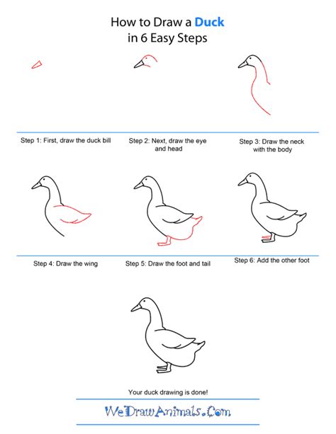 A new cartoon drawing tutorial is uploaded every week, so stay tooned! How To Draw A Duck